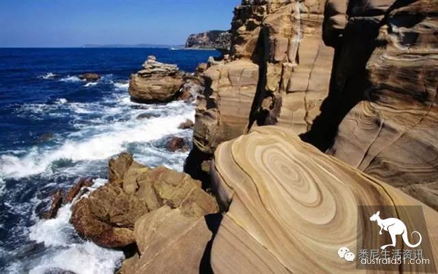 It's so full! 9 hikes around Sydney! 44 national parks, stars, forests, beaches, all over the wildest and most beautiful Sydney