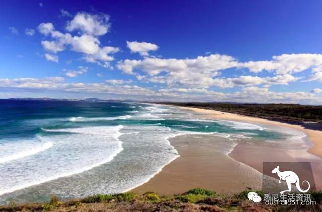 It's so full! 9 hikes around Sydney! 44 national parks, stars, forests, beaches, all over the wildest and most beautiful Sydney