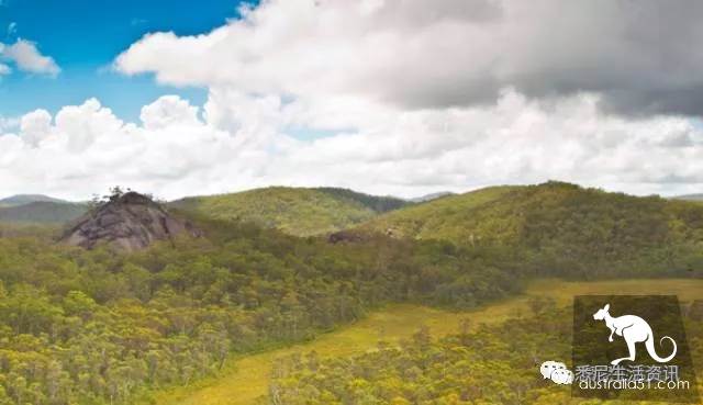 It's so full! 9 hikes around Sydney! 44 national parks, stars, forests, beaches, all over the wildest and most beautiful Sydney