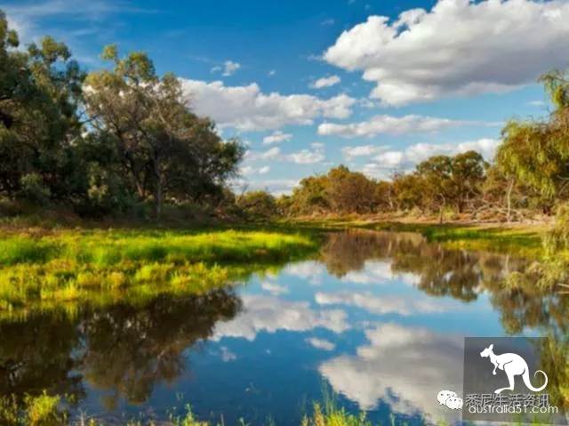It's so full! 9 hikes around Sydney! 44 national parks, stars, forests, beaches, all over the wildest and most beautiful Sydney