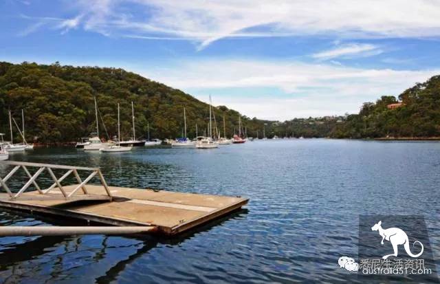 It's so full! 9 hikes around Sydney! 44 national parks, stars, forests, beaches, all over the wildest and most beautiful Sydney
