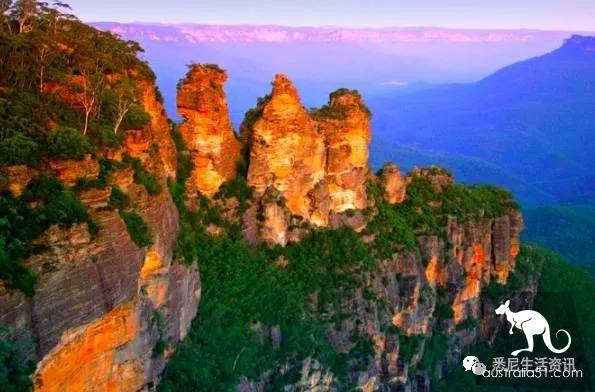 It's so full! 9 hikes around Sydney! 44 national parks, stars, forests, beaches, all over the wildest and most beautiful Sydney