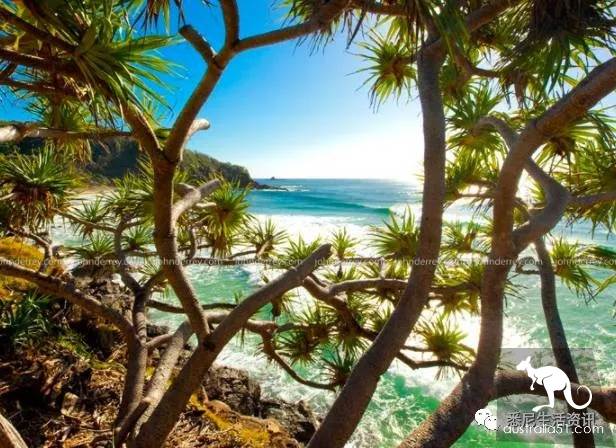 It's so full! 9 hikes around Sydney! 44 national parks, stars, forests, beaches, all over the wildest and most beautiful Sydney