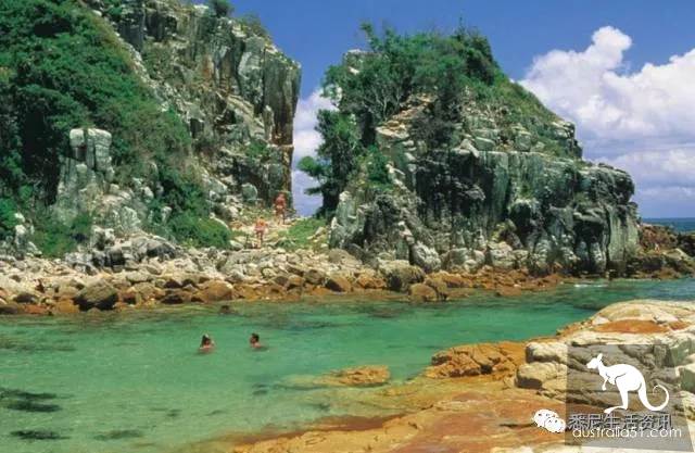 It's so full! 9 hikes around Sydney! 44 national parks, stars, forests, beaches, all over the wildest and most beautiful Sydney