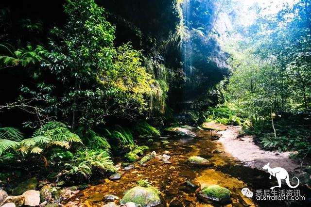 It's so full! 9 hikes around Sydney! 44 national parks, stars, forests, beaches, all over the wildest and most beautiful Sydney