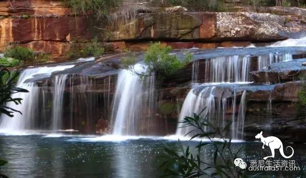 It's so full! 9 hikes around Sydney! 44 national parks, stars, forests, beaches, all over the wildest and most beautiful Sydney