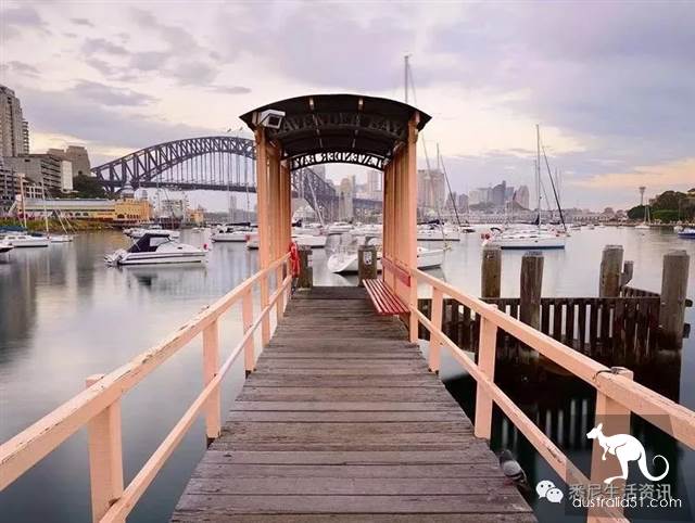 It's so full! 9 hikes around Sydney! 44 national parks, stars, forests, beaches, all over the wildest and most beautiful Sydney