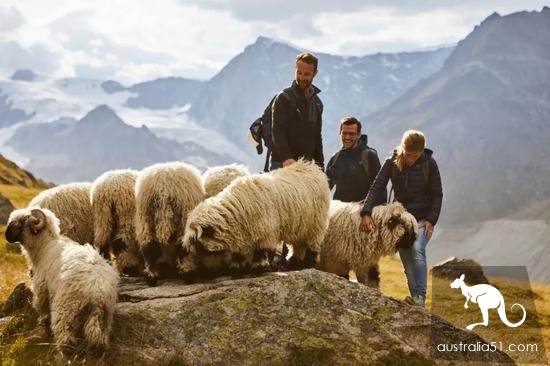 Don't just go skiing in Switzerland in winter, try the slow-train niche
