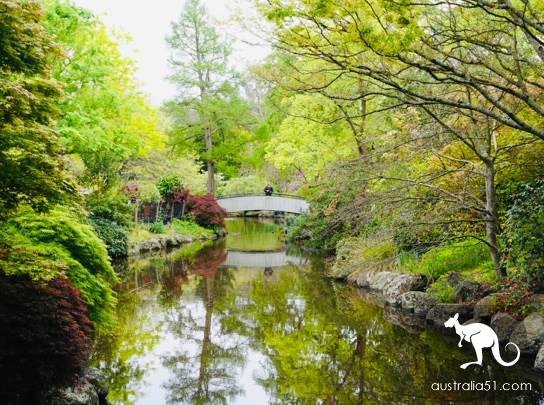Warran Glen Nursery: Flowers meet Coffee, secret garden in the Mountains