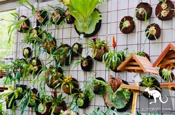 Warran Glen Nursery: Flowers meet Coffee, secret garden in the Mountains