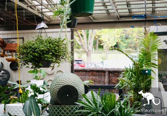 Warran Glen Nursery: Flowers meet Coffee, secret garden in the Mountains