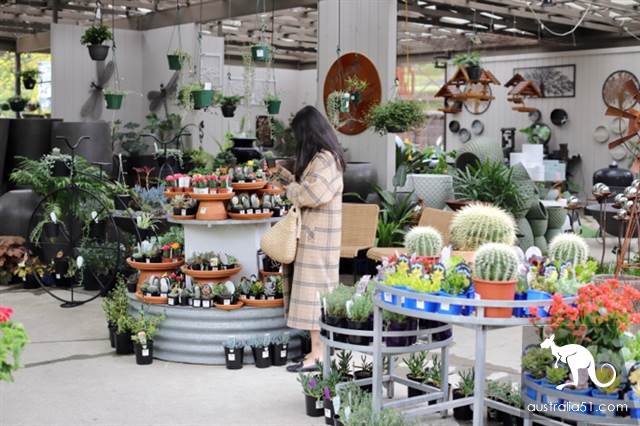 Warran Glen Nursery: Flowers meet Coffee, secret garden in the Mountains