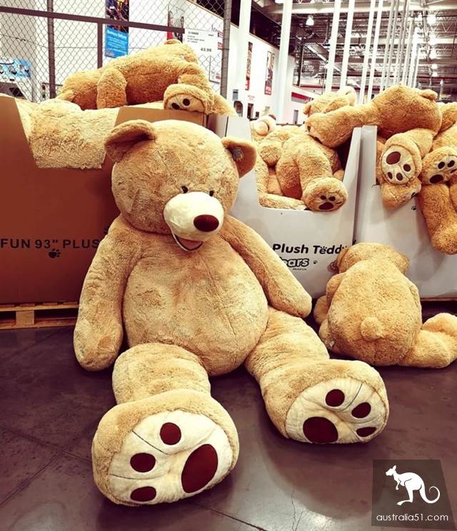 Don't you know what to bring with you? Melbourne COSTCO snack purchase list is here.