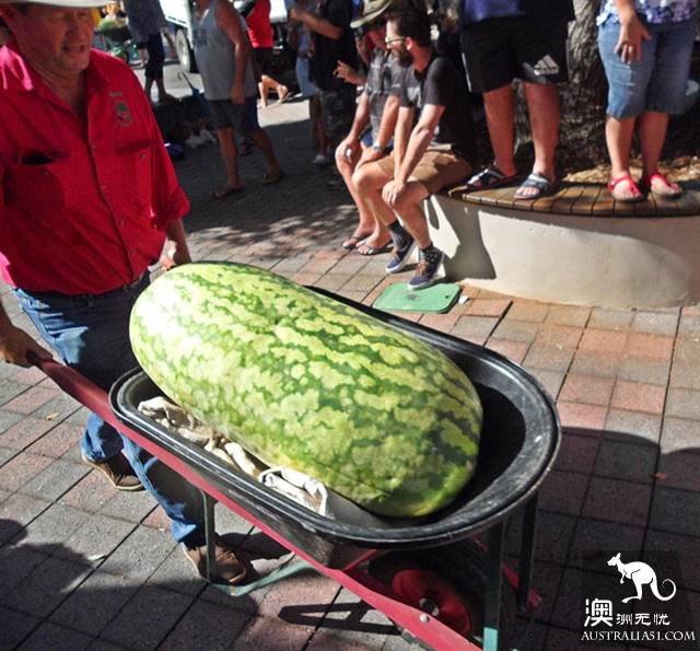 Watermelon festival in the small town of Chinchilla, Kunzhou, where watermelons are not used for food.
