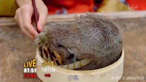 Wu Zetian eats cockroaches? Australian television broadcasts program children to ange