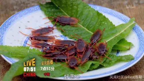Wu Zetian eats cockroaches? Australian television broadcasts program children to ange