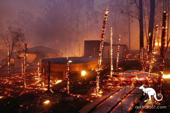 Australian mountain fire, why can't kill?