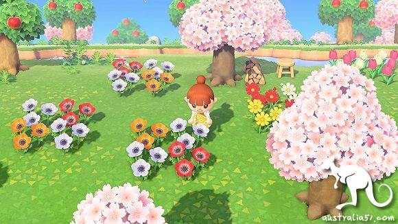 'Friends of the Animals' is on fire: fishing, planting, daze, a game that people inexplicably indulge in