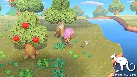 'Friends of the Animals' is on fire: fishing, planting, daze, a game that people inexplicably indulge in