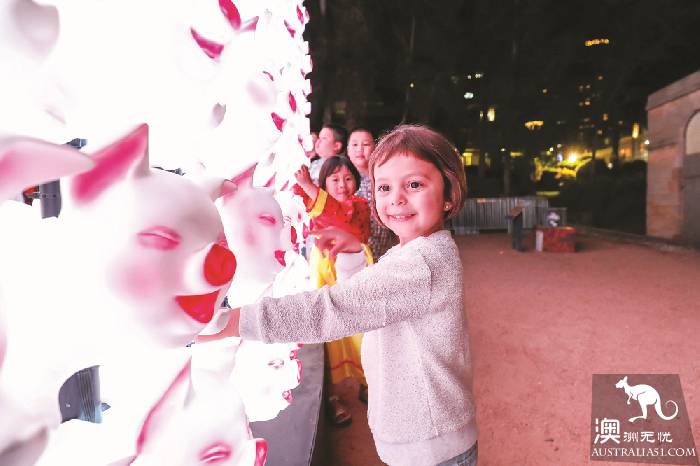 Sydney 2019 year of the Pig Spring Festival celebration introduction, for you to pre-emptive reveal five bright spots