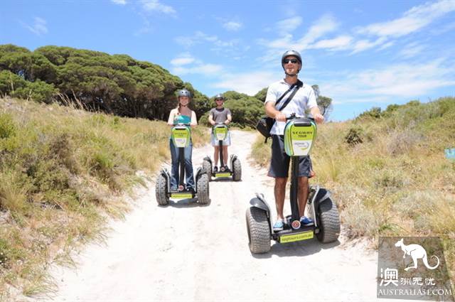 网红矮袋鼠故乡，西澳罗特尼斯岛（Rottnest Island）干货攻略之玩乐篇