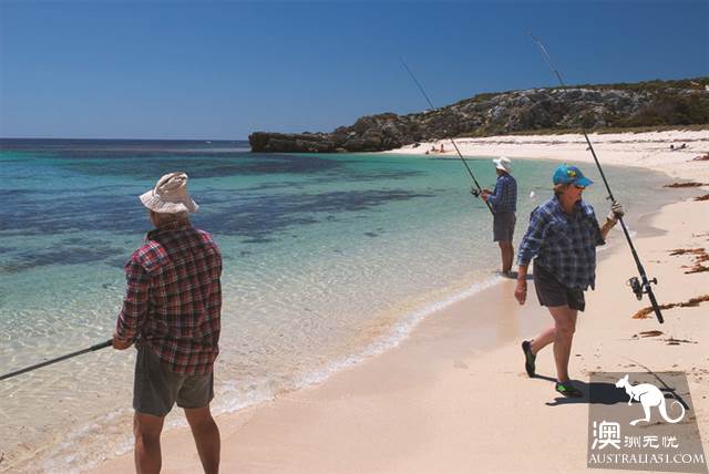 网红矮袋鼠故乡，西澳罗特尼斯岛（Rottnest Island）干货攻略之玩乐篇