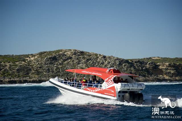 网红矮袋鼠故乡，西澳罗特尼斯岛（Rottnest Island）干货攻略之玩乐篇