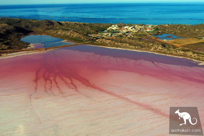 Western Australia pink lake bleak for ten years, or will reproduce 'pink'