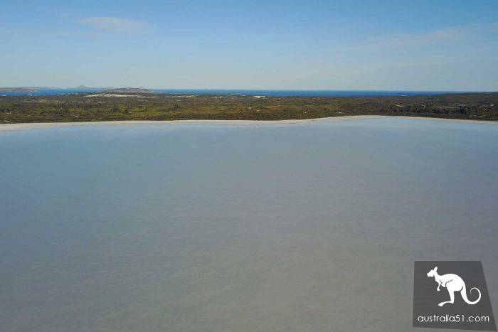 Western Australia pink lake bleak for ten years, or will reproduce 'pink'