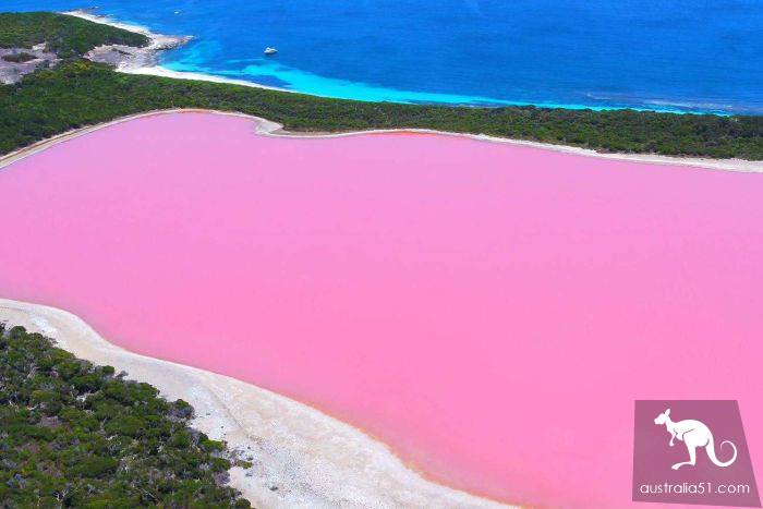 Western Australia pink lake bleak for ten years, or will reproduce 'pink'