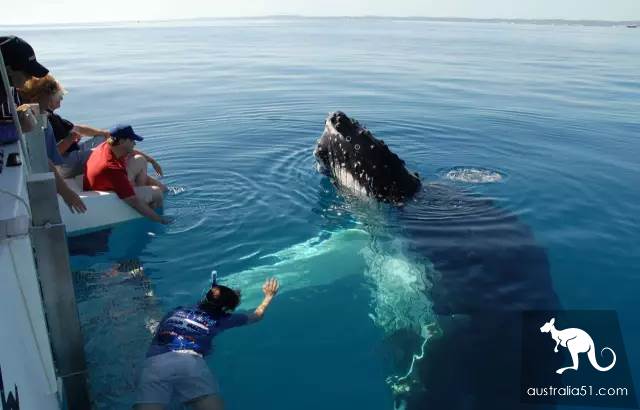 Whales are coming! Whale watching doesn't feel sick:the most comfortable and most enjoyed whale route is here.