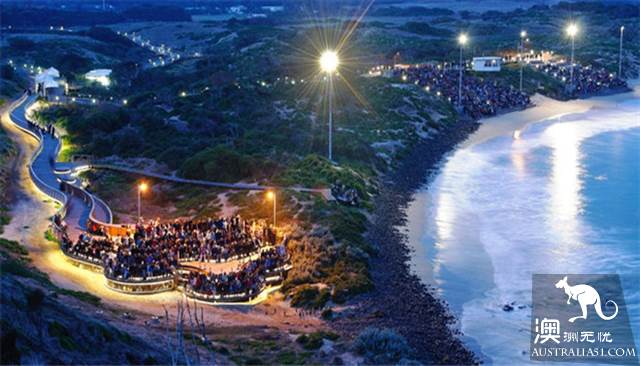 When you go to Melbourne, Philip Island is a cute little penguin, parade.