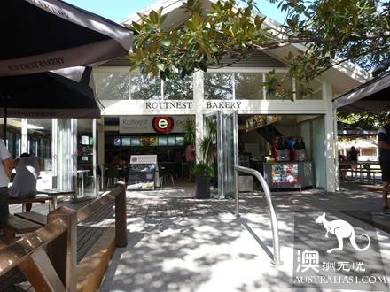 The hometown of the Internet famous short kangaroo, the residential gourmet section of Rothenis Island in Western Australia