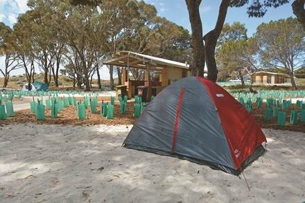 The hometown of the Internet famous short kangaroo, the residential gourmet section of Rothenis Island in Western Australia