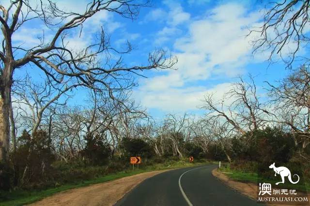 Travel, quiet town Ron, meet the softest time on ocean road