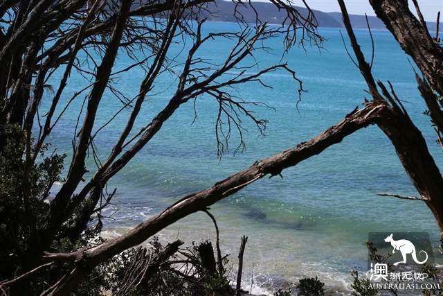 Travel, quiet town Ron, meet the softest time on ocean road