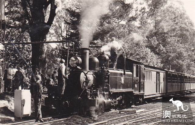 One hundred years old, Puffing Billy Railway Little train, why is it still favored today? (attached with mini train play introduction)