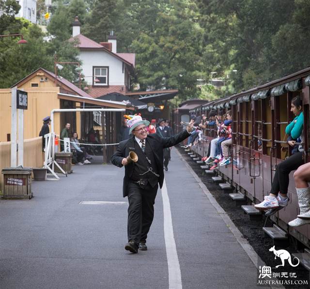 One hundred years old, Puffing Billy Railway Little train, why is it still favored today? (attached with mini train play introduction)