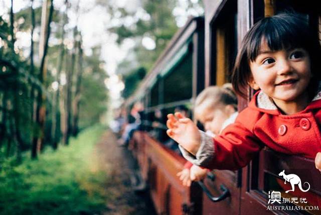 One hundred years old, Puffing Billy Railway Little train, why is it still favored today? (attached with mini train play introduction)