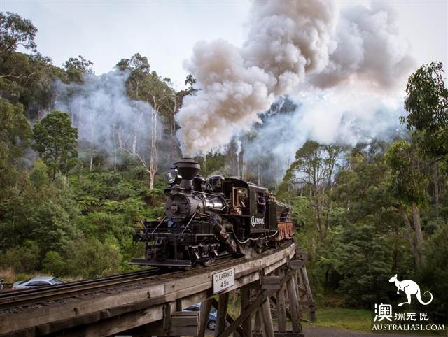 One hundred years old, Puffing Billy Railway Little train, why is it still favored today? (attached with mini train play introduction)