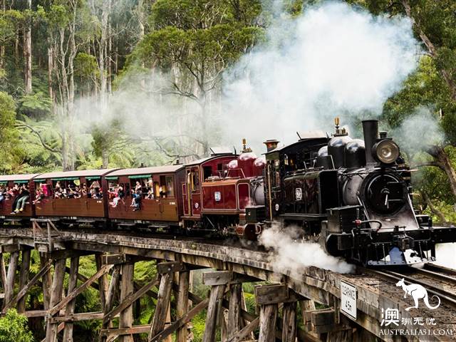 One hundred years old, Puffing Billy Railway Little train, why is it still favored today? (attached with mini train play introduction)