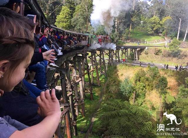 One hundred years old, Puffing Billy Railway Little train, why is it still favored today? (attached with mini train play introduction)