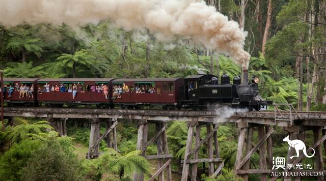 One hundred years old, Puffing Billy Railway Little train, why is it still favored today? (attached with mini train play introduction)