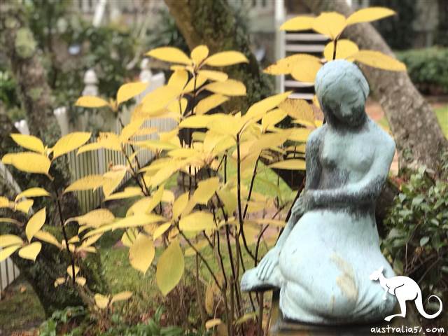 Leura瀑布艺术馆秘密花园一瞥。（记者摄）