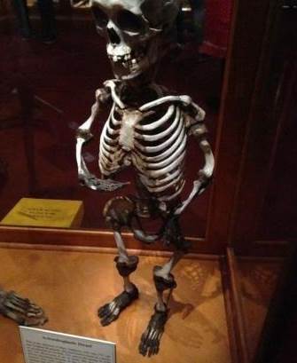 The Matt Museum in Philadelphia, USA