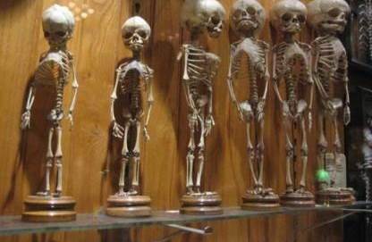 The Matt Museum in Philadelphia, USA