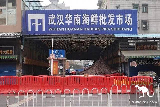 武汉华南海鲜市场罕见照片！