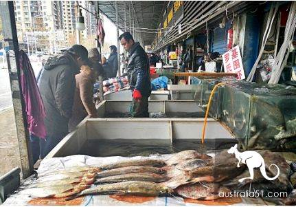 武汉华南海鲜市场罕见照片！