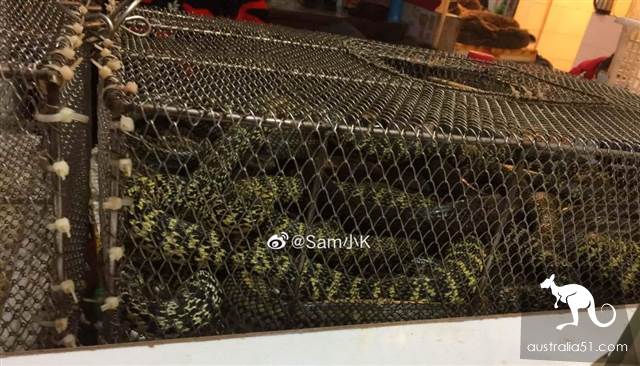 武汉华南海鲜市场罕见照片！