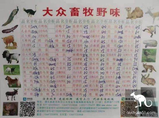 武汉华南海鲜市场罕见照片！